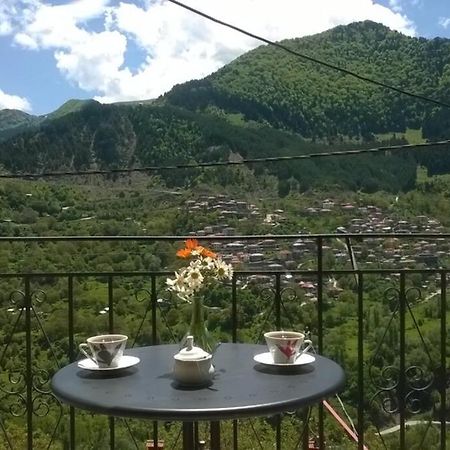Appartamento Baou House Metsovo Esterno foto