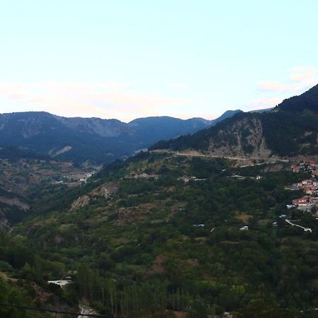 Appartamento Baou House Metsovo Esterno foto