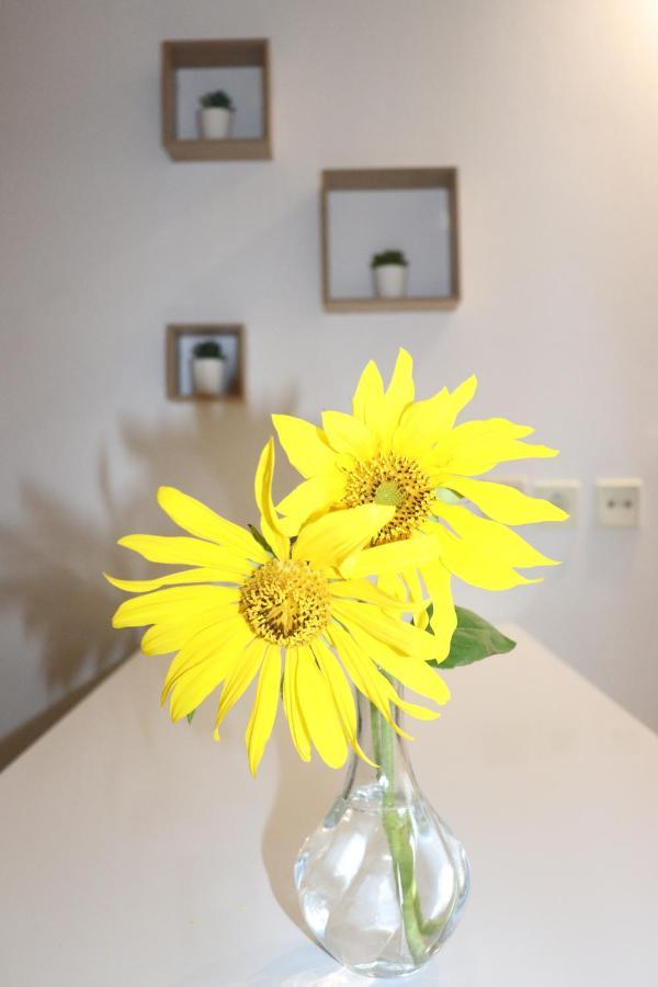 Appartamento Baou House Metsovo Esterno foto