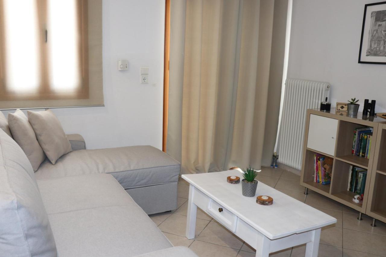 Appartamento Baou House Metsovo Esterno foto