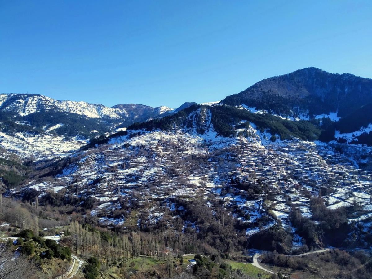 Appartamento Baou House Metsovo Esterno foto