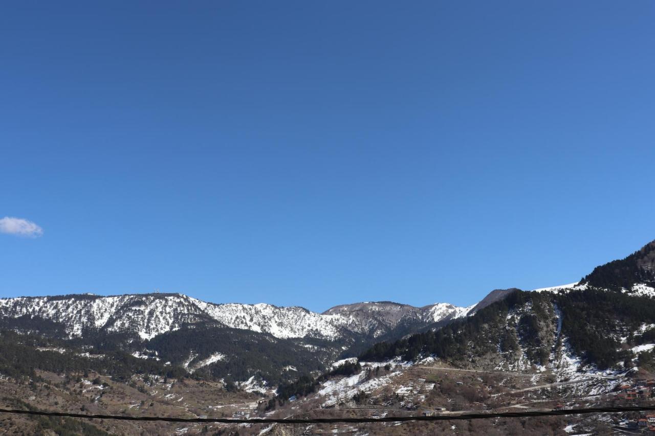 Appartamento Baou House Metsovo Esterno foto