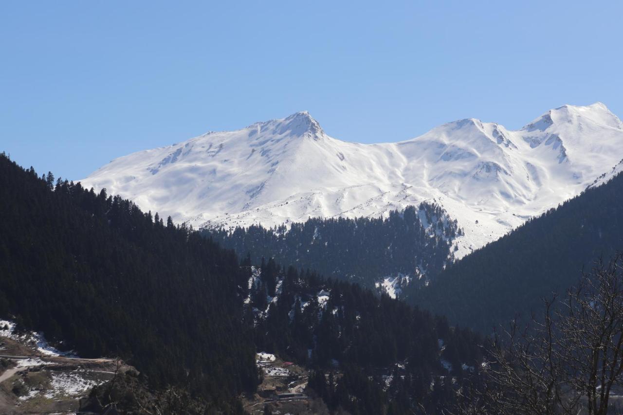 Appartamento Baou House Metsovo Esterno foto